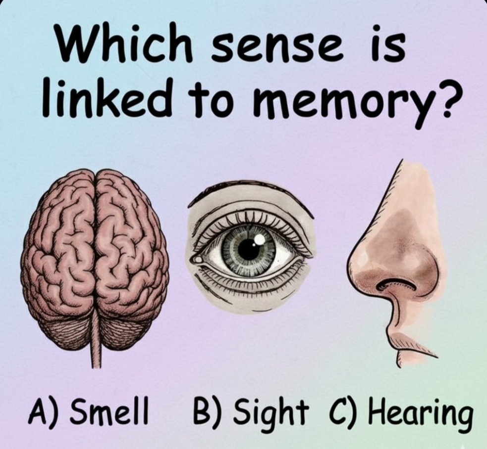 advkristal's tweet image. Which sense is linked to memory!?