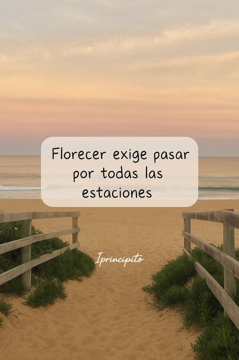 iPrincipito's tweet photo. 📩💫 https://t.co/JfA9B4Wh76