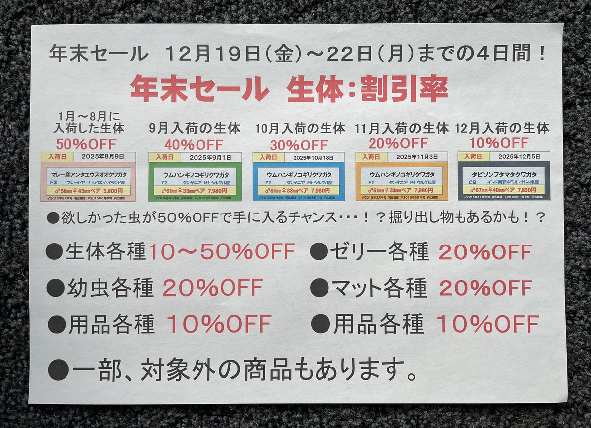 年末セールのお知らせ！ 年末が迫ってきました😅 で、 今年もやります