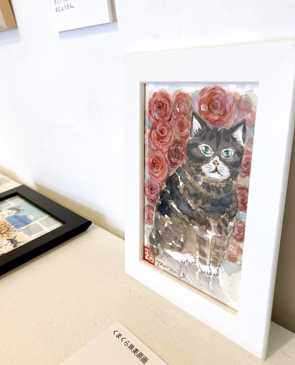 うちのおじょうさん』刊行記念 くまくら珠美原画展、5日目。今朝も早速