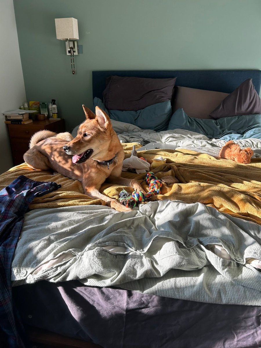 밤톨이는 아주 잘 지내고 있어요. 밤톨이 구조자님, 밤톨이 치료와 이동을 후원해 주신 분들, 응원 보내주신 분들, 엔젤 프로젝트, 모두의 도움으로 가능했어요.

여전히 혼자 밖에 묶인 강아지는 많지만, 그래도 오늘로 -1이 되었습니다.