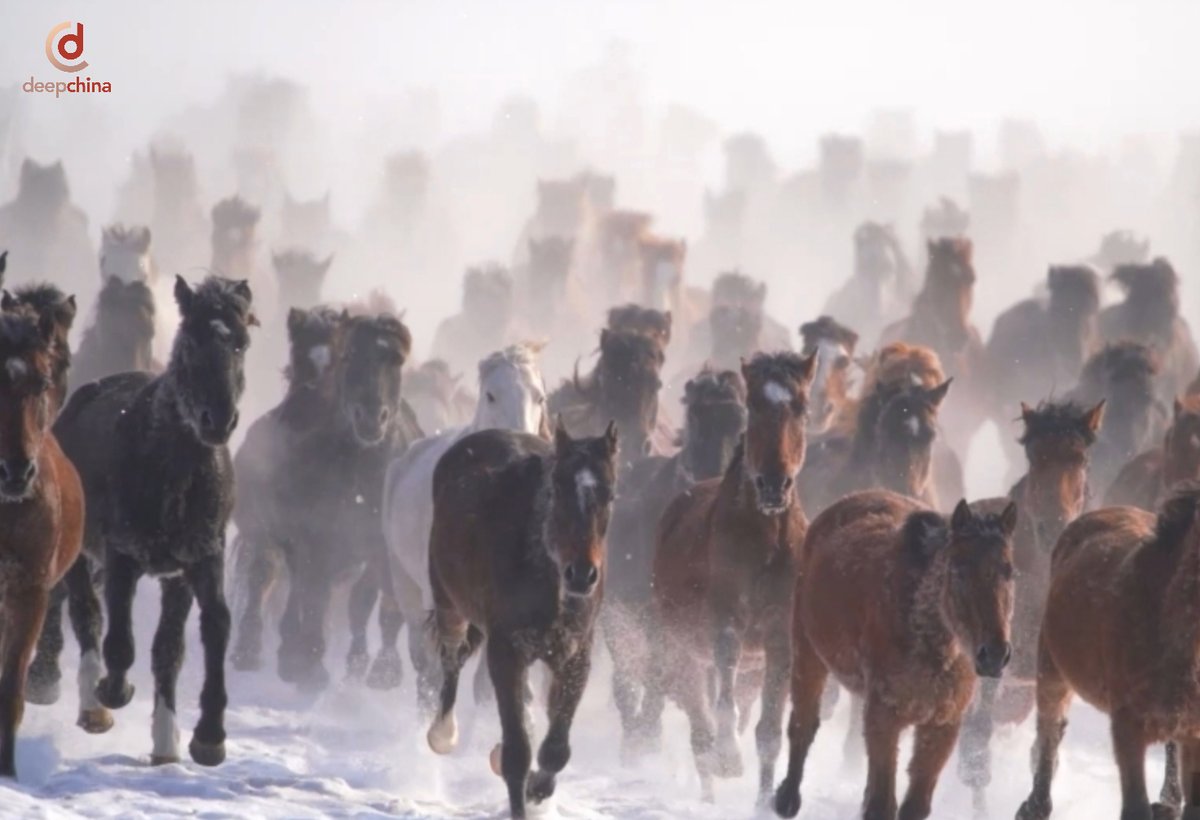Deep__China's tweet photo. #Yili, #Xinjiang: Chase the Snow into a Winter Dream at the Foot of the #TianshanMountains. Step into a world where snow blankets the land and the Tianshan peaks stand tall as silent guardians. #ChinaTravel #ScenicChina @XJimpression https://t.co/2ta8V0cKgD