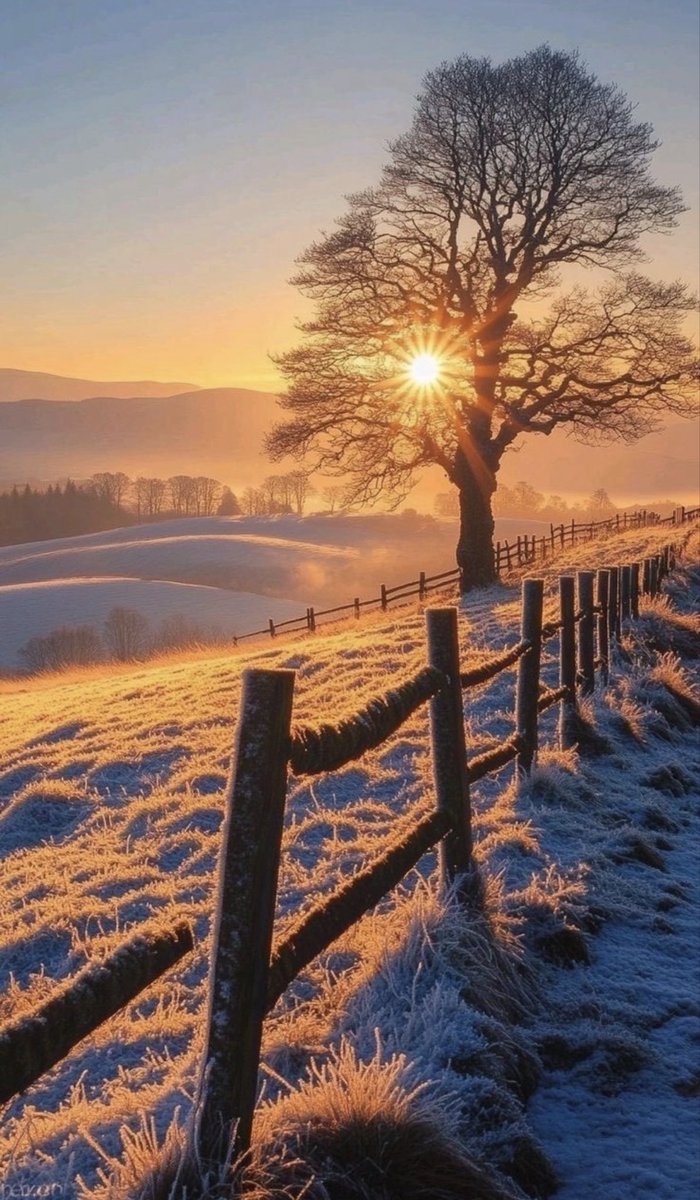 Günaydın ❤️❤️