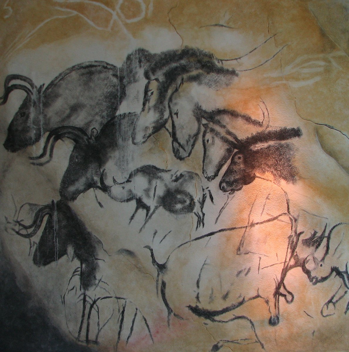 xmuse_'s tweet image. Drawings at the Chauvet-Pont d'Arc cave in France are some of the oldest in the world, about 31,000 years old.

Replica of a Chauvet cave painting, Anthropos Museum, Brno.