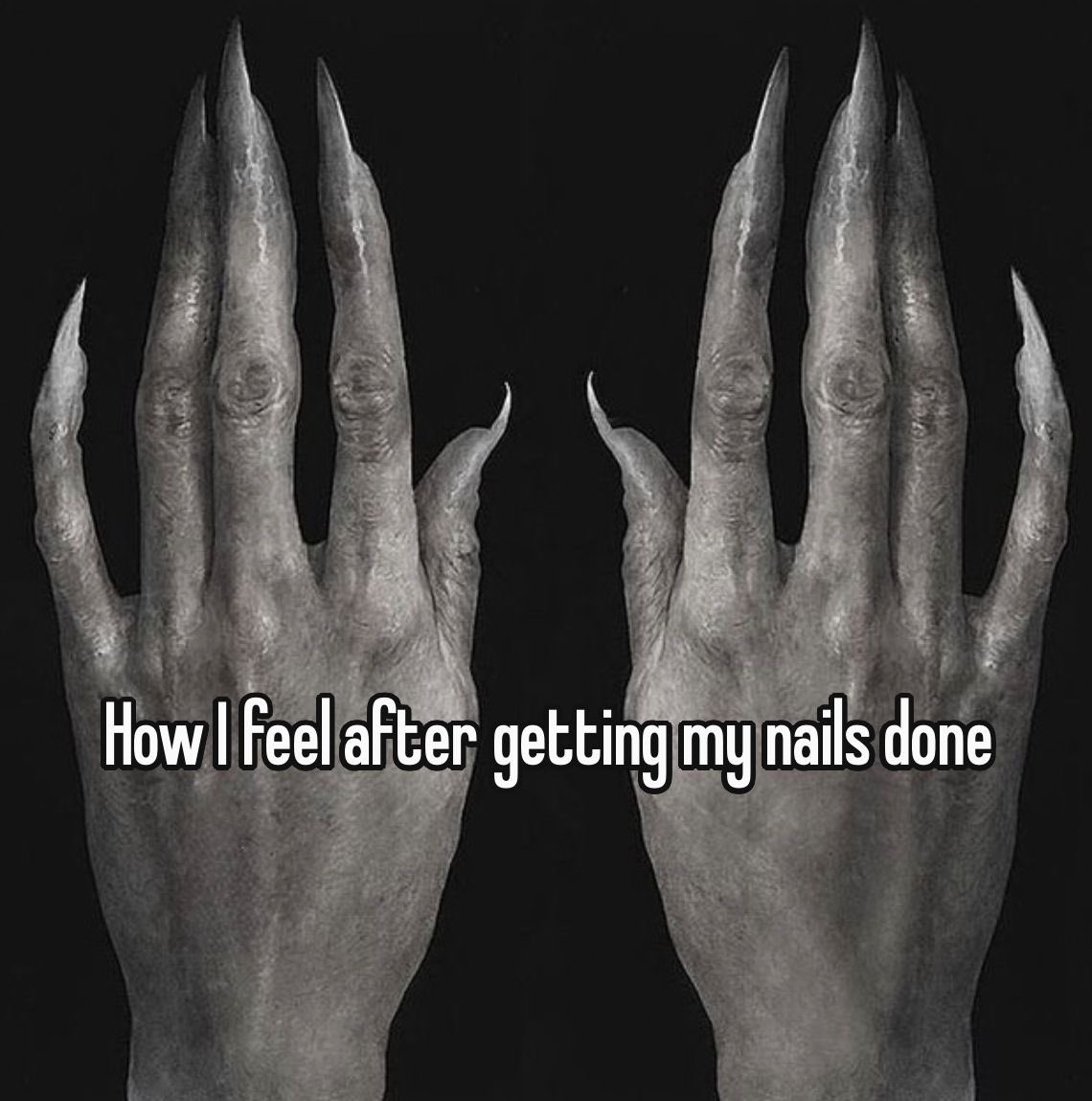 whotfisjovana's tweet image. 