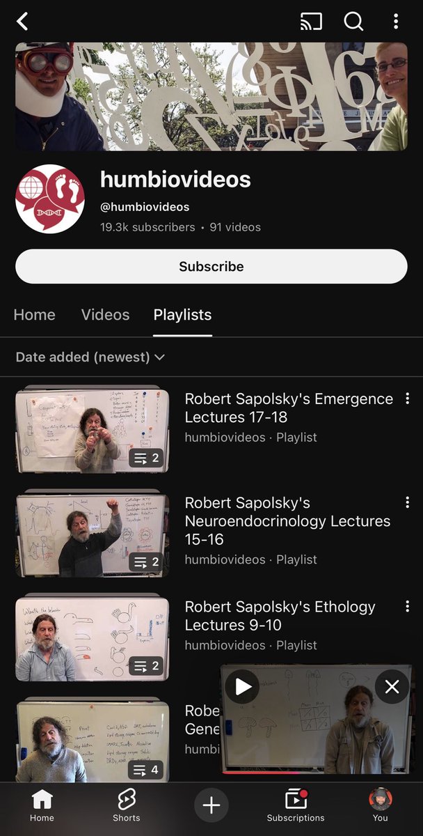 اس میں شک کی گنجائش نہیں کہ نسیم خان کی شاعری عروجِ جمالیات کا استعارہ ہے۔ آپ کے کلام کا حرف حرف موتی، لفظ لفظ گہنا ہے۔ آپ کا پہلا کنوارہ دیوان گویا سجی سجائی نووارد دلہن سا ہے جسے حجلہ عروسی میں پہلی بار دیکھتے ہی صاحبِ دیدار ہوش گنواتے ہوئے منازلِ عالم طے کرتا ڈوریمون نومینہ کی