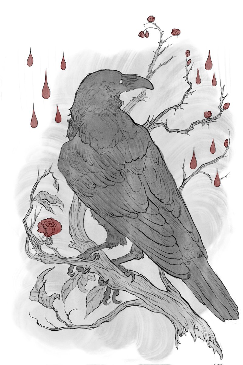 corvid enjoyer 🌱 tweet media