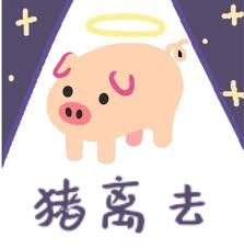 中推第一国营制图厂🚩 tweet media