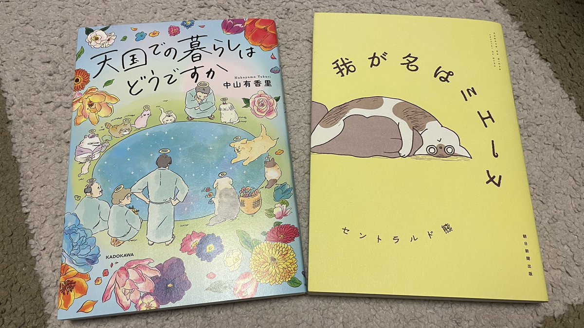 chibataka0595's tweet photo. Twitter発のマンガ単行本
『我が名はミエーヌ』セントラルド熊 @4RewJJOmWiLzR7L さん
『天国での暮らしはどうですか？』中山有香里 @musashi_0303 さん
2冊続けて購入。

どちらも強くお薦めします！ https://t.co/NoosFsaZoE
