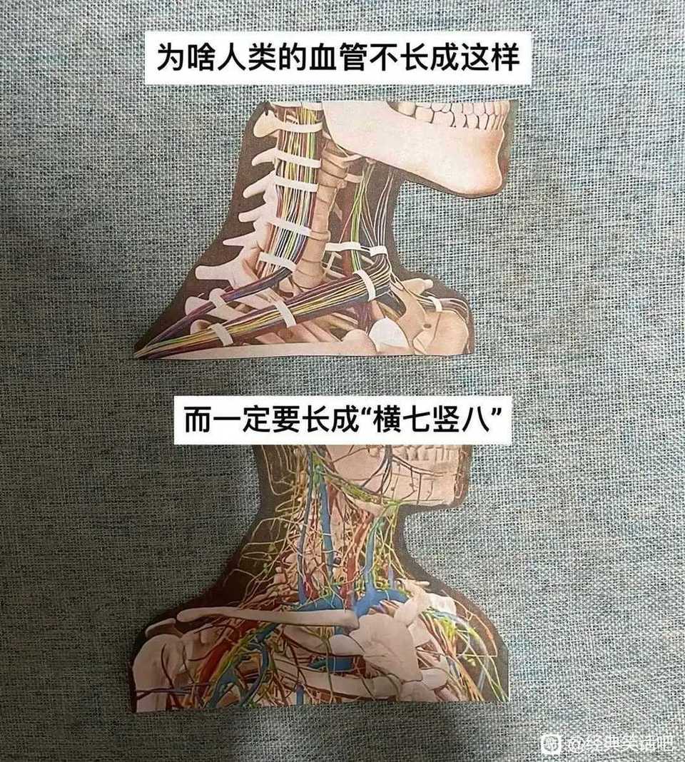 简律(私信互关) tweet media
