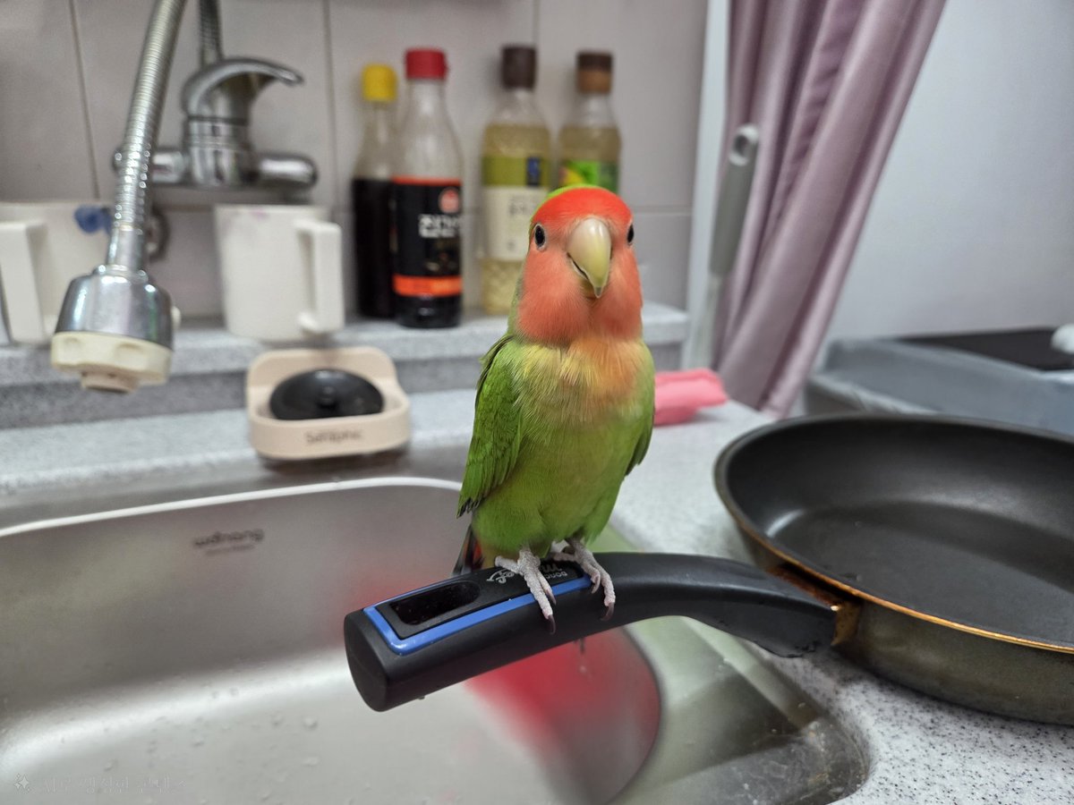 뭐 사러 잠깐 나갔다왔더니 요로코롬 있었다