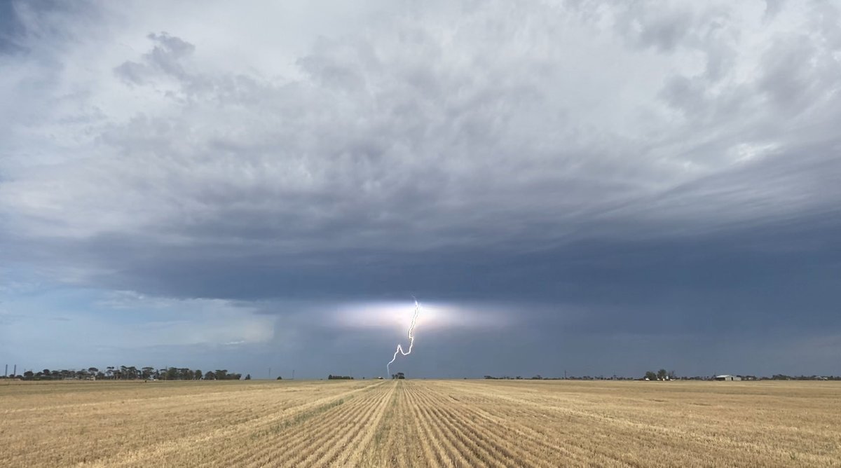 Chris Davey tweet media