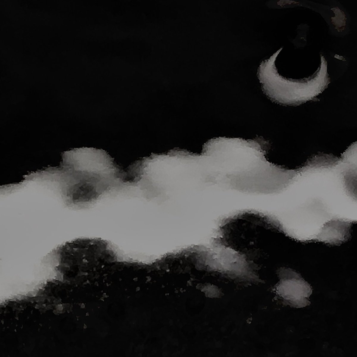 pacoplutone tweet media