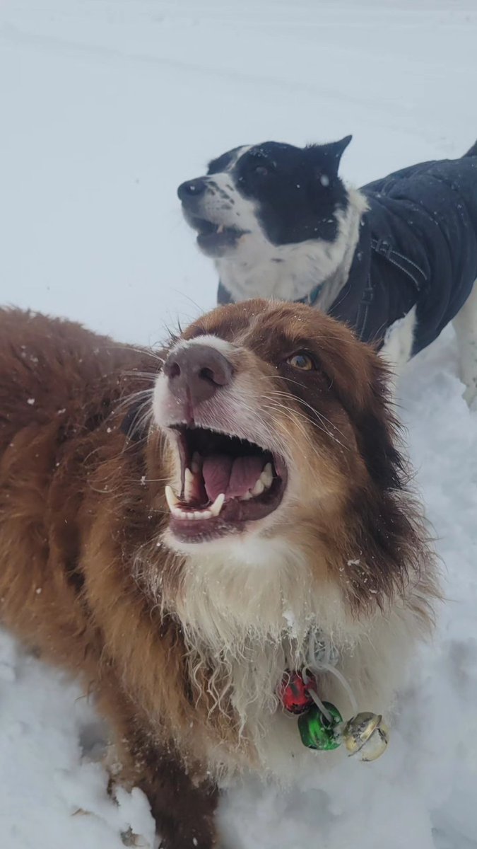 RiverEdge Superintendent tweet media