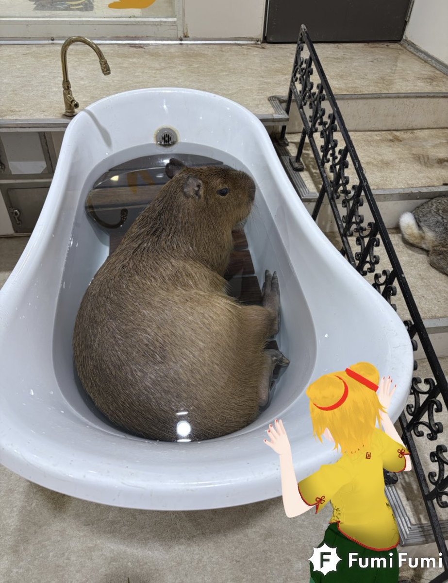 今年を代表する良譜面集まる事間違いなし！ V1は無いなぁ