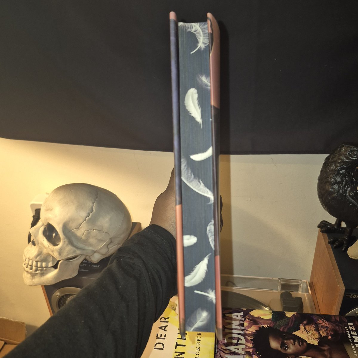 beyondbinary91's tweet photo. If you know me you know I am an Akwaeke Emezi Stan. *Most* of my books are autographed. But I just got their newest novel. It's an Adult Sci-fi book named "Son of The Morning." #BookTwt #Bookworm #AkwaekeEmezi #SonofTheMorning #LGBTQReads #PrideReads #ReadwithPride https://t.co/uyfefooeF9