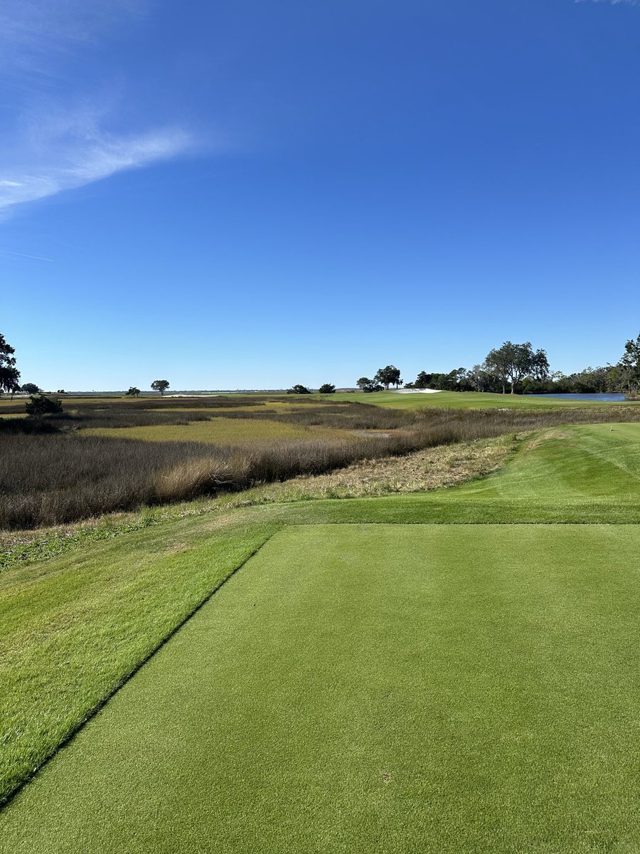 ecklebergg's tweet photo. 2025 Golf Wrapped

# of Rounds: 113
High: 88
Low: 66
Average: 76
Handicap: +1.7 -> 0.8
Most Played: Home Track
Favorite Played: Honors https://t.co/VgbceByiCG