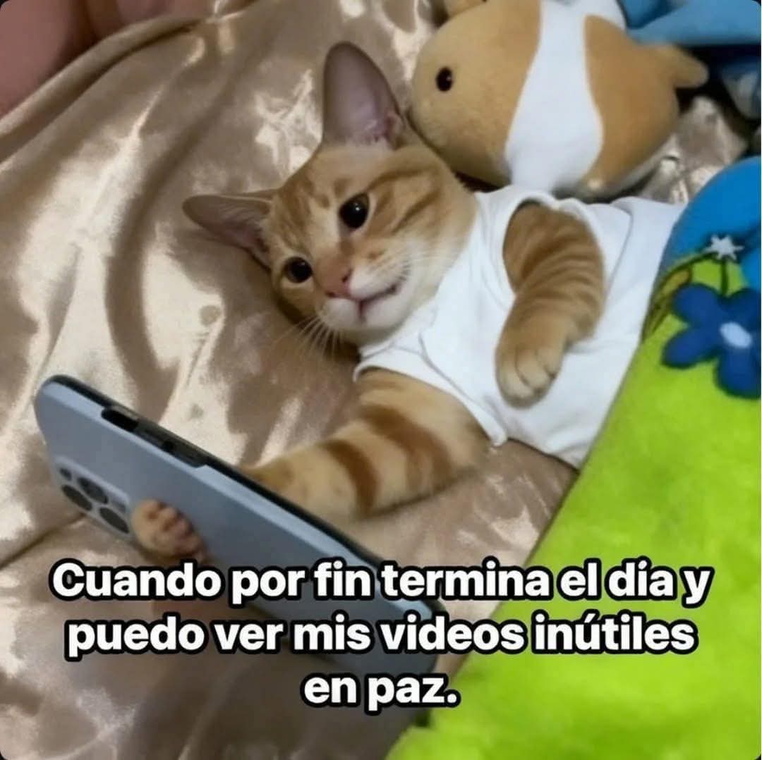 M O T I V A N D O T E (@m0tivand0te) on Twitter photo 