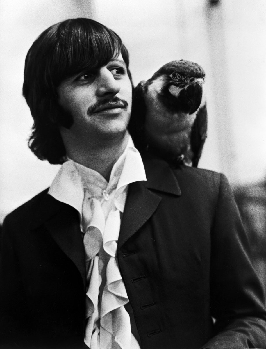 thebeatles's tweet image. The parrot you need is on your shoulder

Photos © Apple Corps Ltd