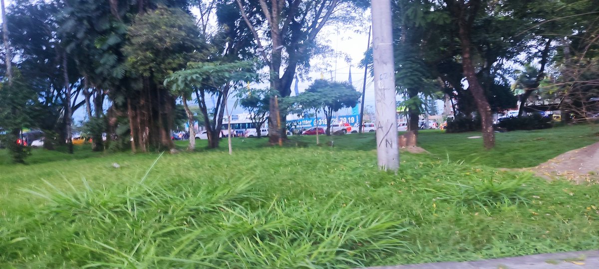 jaenpava's tweet photo. @Alcaldiaibague generaron un caos terrible, el contraflujo bloqueó la salida por la Av Mirollindo. https://t.co/c1OTlK7FOI