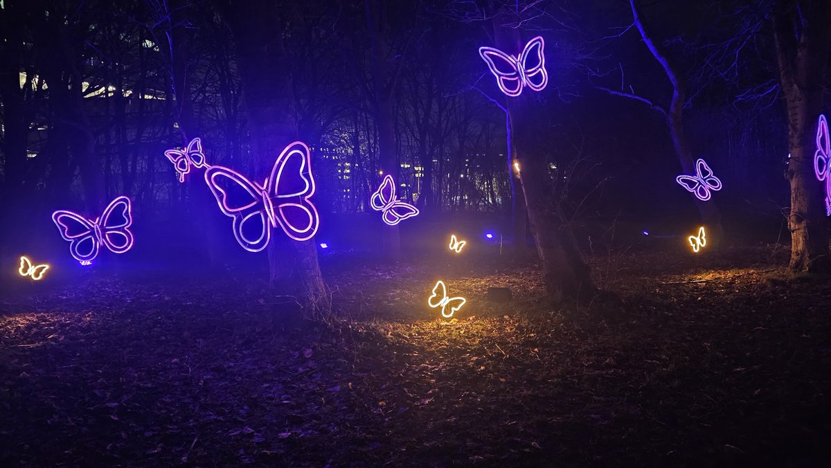 b e a n ☆ tweet media