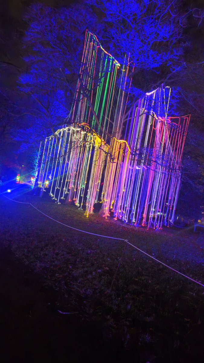 b e a n ☆ tweet media