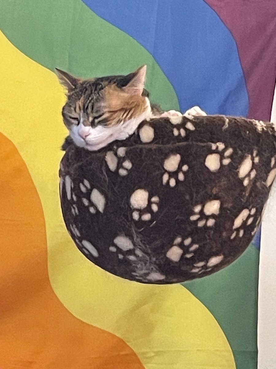 remy ✨ tweet media