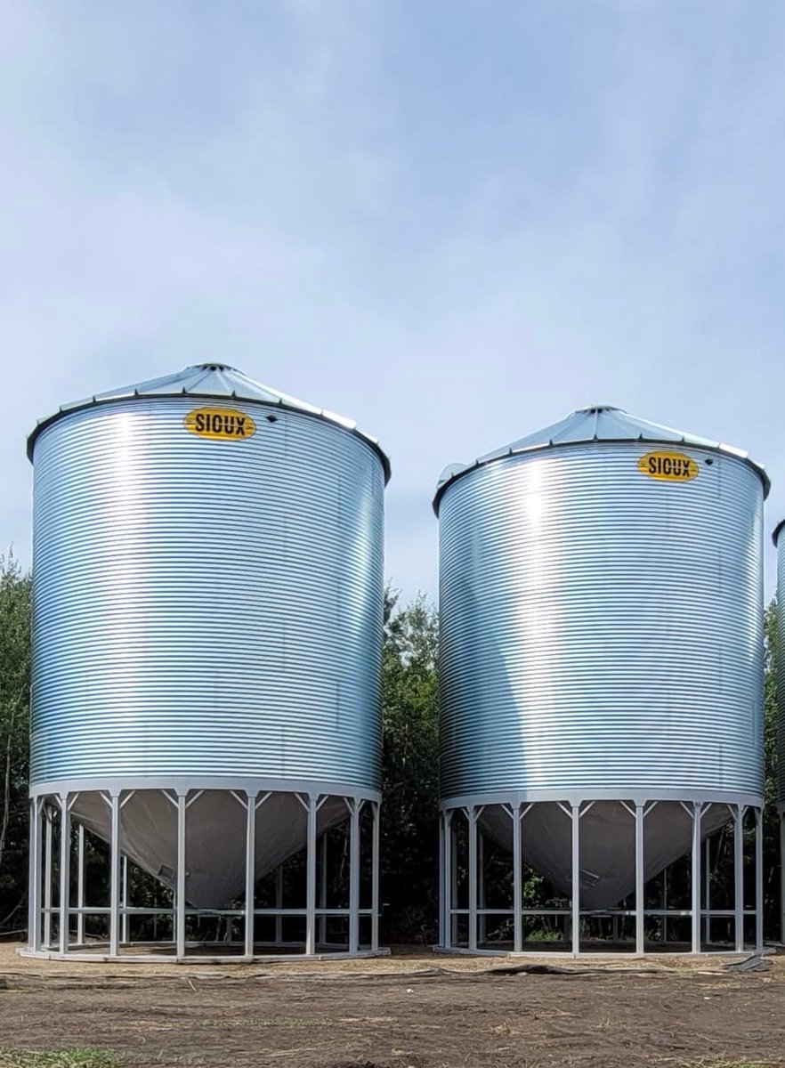 Henry Wiebe tweet media