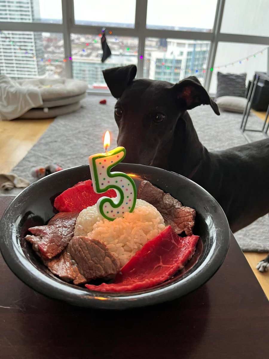 This is a travesty. Photo from two years ago, not only was I actually SIX, but this year mom didn’t even remember it was my birthday until now!! Worst. Mom. Ever.