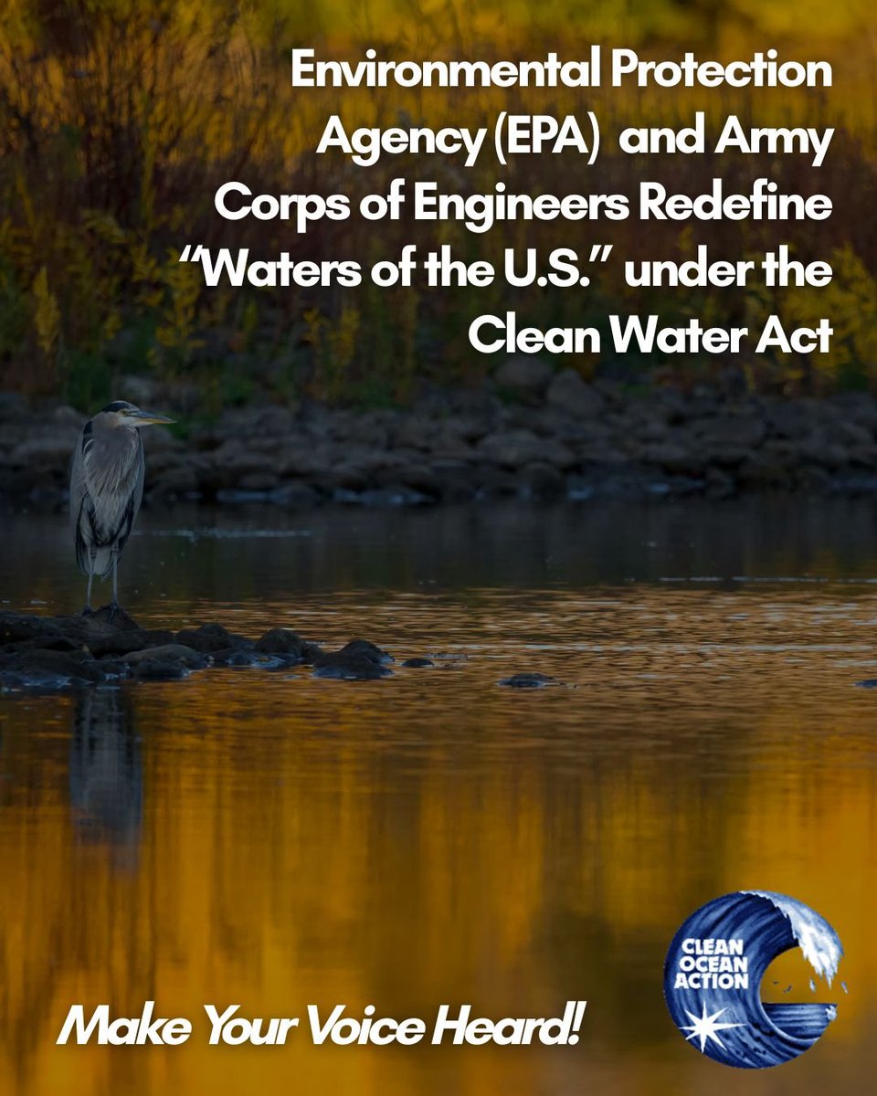 Save the East Coast tweet media