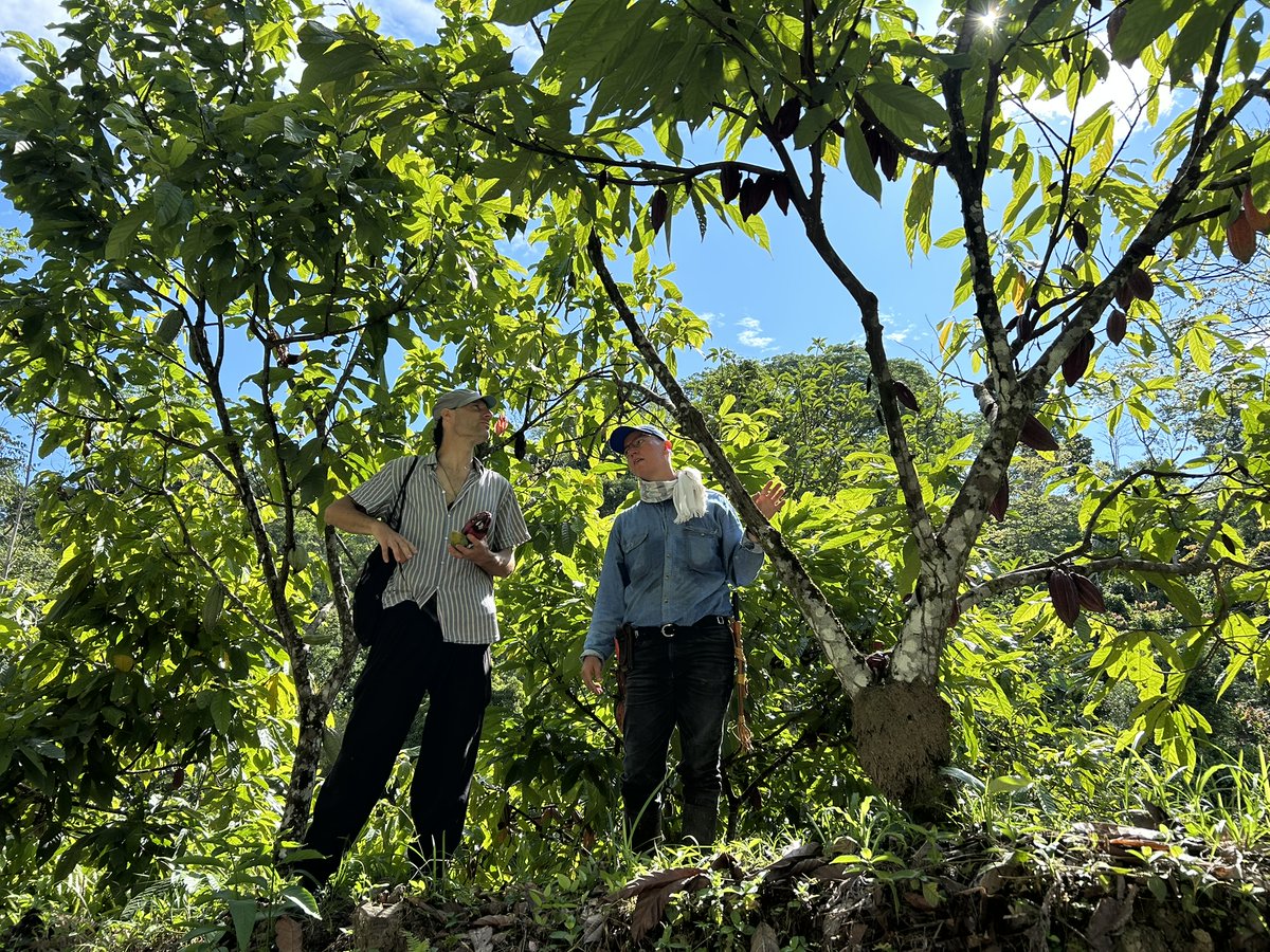 PSA_Podion's tweet photo. 🤝 Agradecemos a nuestro cooperante del Servicio Civil para la Paz – AGIAMONDO y a todas las organizaciones que nos recibieron. 🧶 Seguimos tejiendo caminos de cuidado, justicia ambiental y paz territorial. 🌿
#NoAlFrackingNiALosYNC #ColcoNoVa #SíALaVida https://t.co/KiJn1wZWfN