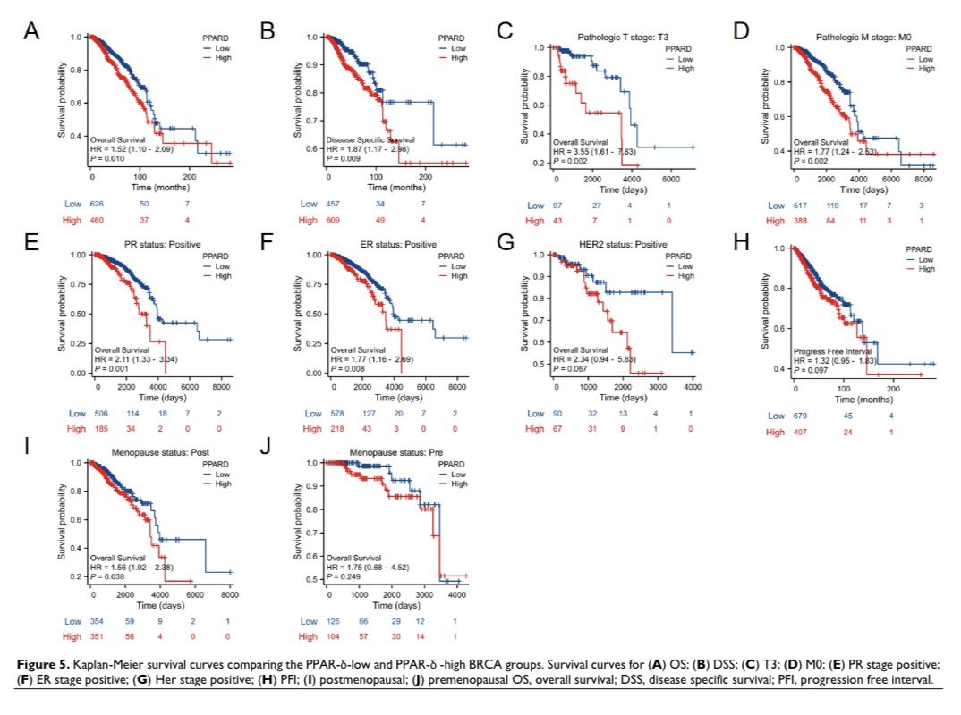 Wafik S. El-Deiry, MD, PhD, FACP tweet media