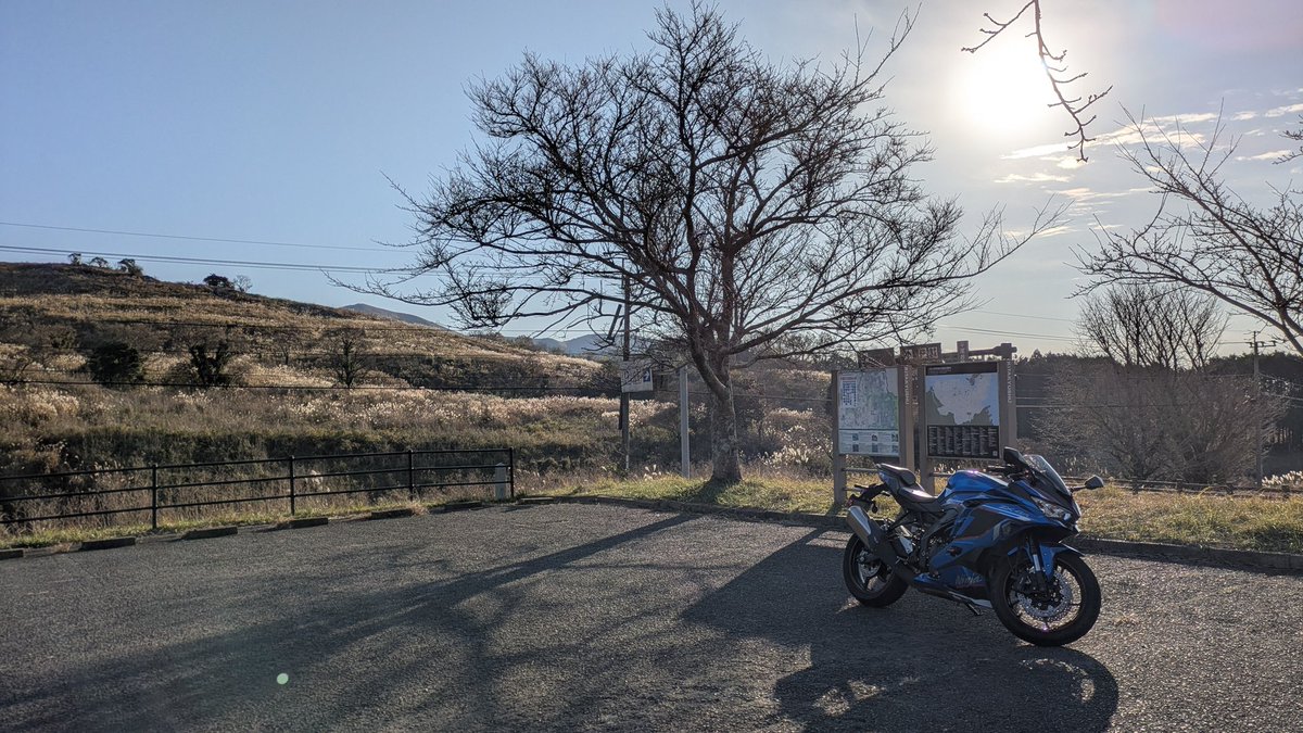 Post by Moco on X: #ZX4R