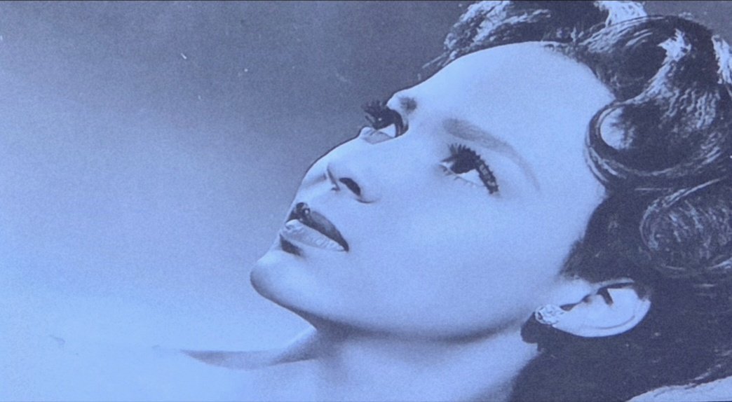 Black_Pin_Ups's tweet photo. Angel Face. 
Dorothy Dandridge ❤️ 
#DorothyDandridge #actress #singer #pioneer #pinup #blackpinupmodel #blackpinup #glamour @DandridgeLove https://t.co/ax1jLNg8Uy