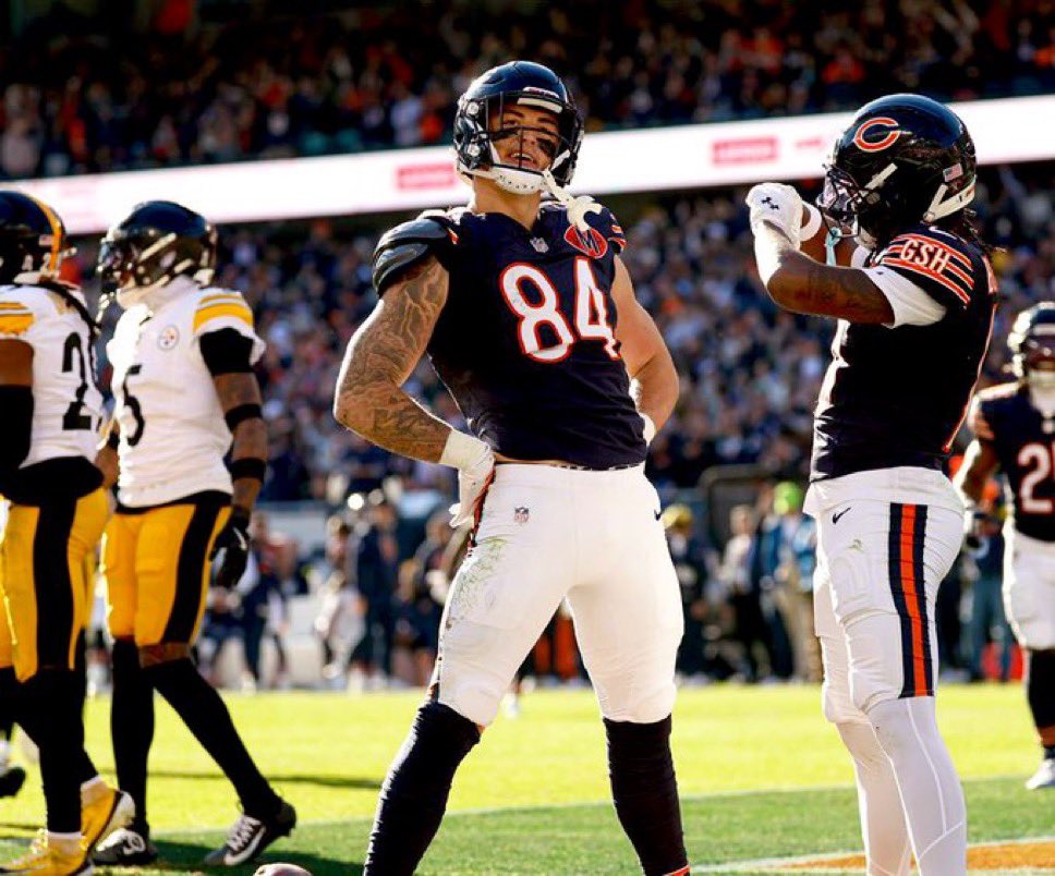 CAPTAIN CEEBEE 🏴‍☠️🐻⬇️ tweet media
