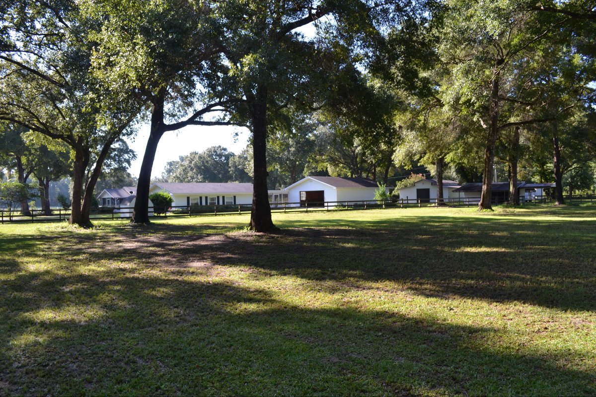 catturd2's tweet photo. Country living is the only way if you want to find true peace. https://t.co/SIOEzKc5q2
