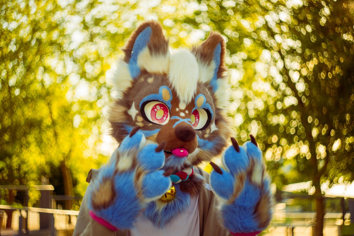 ErisAiko's tweet photo. I swear I'm a real photographer guys look here's a mini-portfolio for 2025.

also featuring @Gatzenwolf, whom I couldn't tag in the photo. https://t.co/O2T0NXtZhp