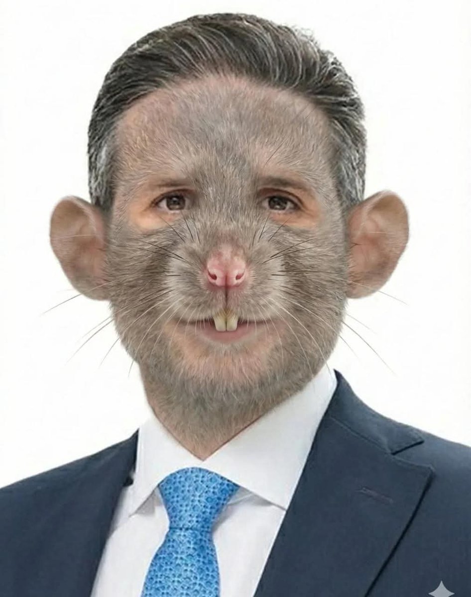 Flávia Maynarte ☭🔺 (@flaviamaynarte) on Twitter photo 