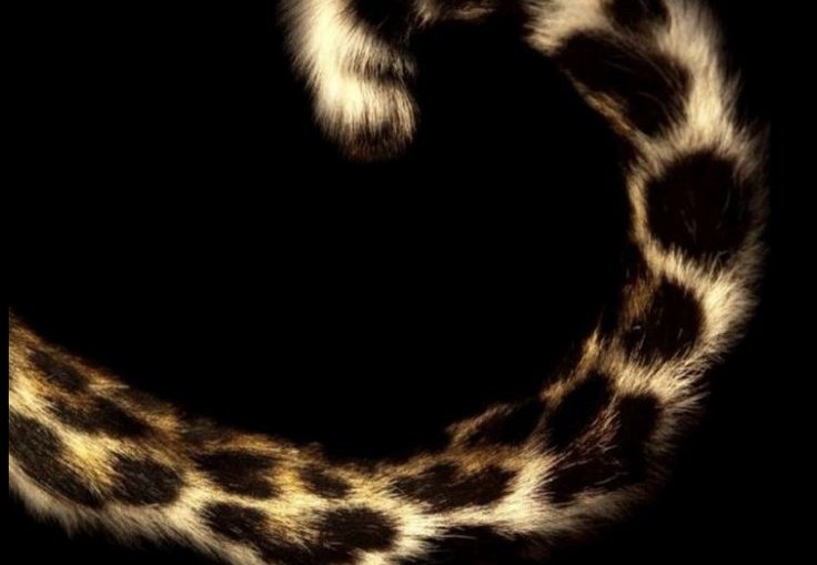 grazii da malmal. MODO INTER🐝🩷💙 tweet media