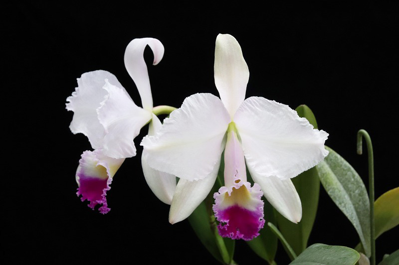 NK】 (@nknk81191345) / Posts / X