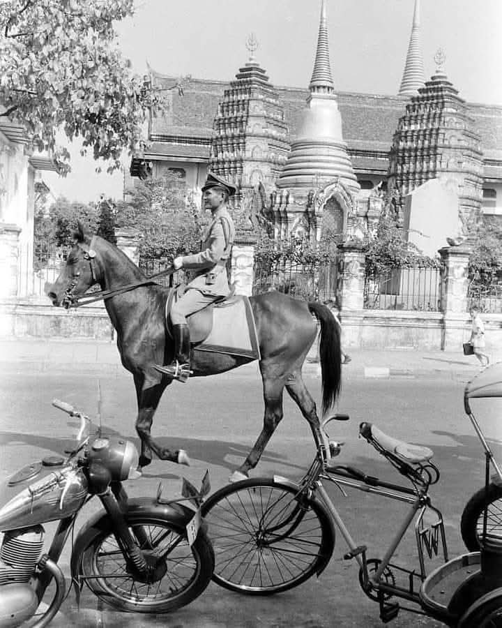 ตำรวจม้า
วัดราชบพิธสถิตมหาสีมาราม 
เมื่อปี2500

ขอบคุณ..เจ้าของภาพ