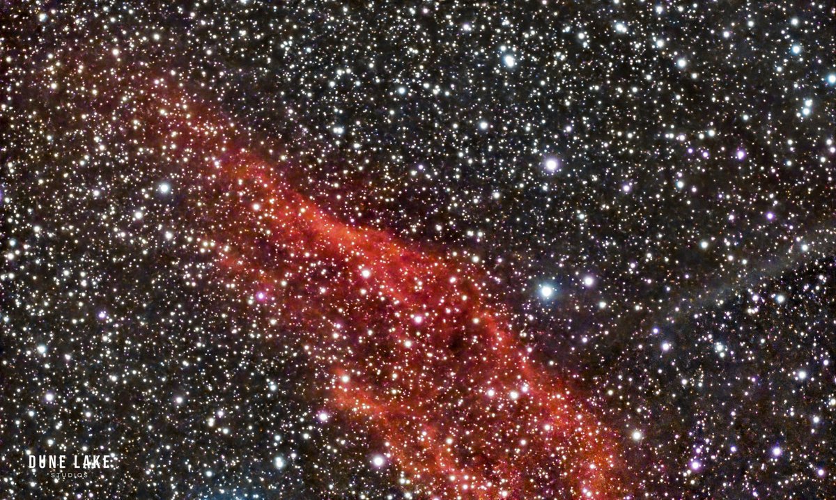 David Warren tweet media