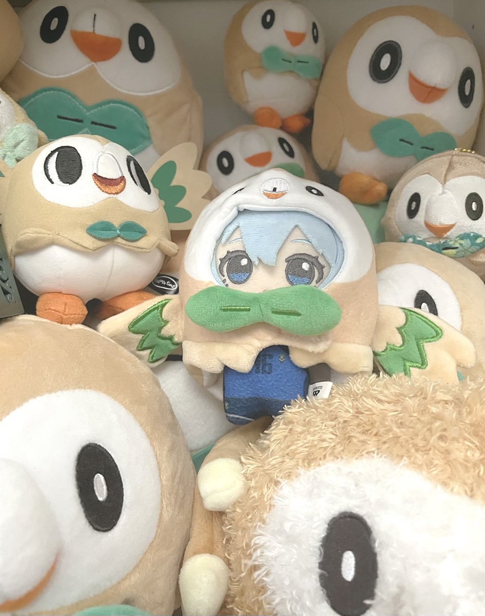 恩琪 eva tweet media