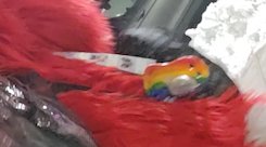 Timmy the Otter 🏳️‍🌈 🔜 FWA tweet media