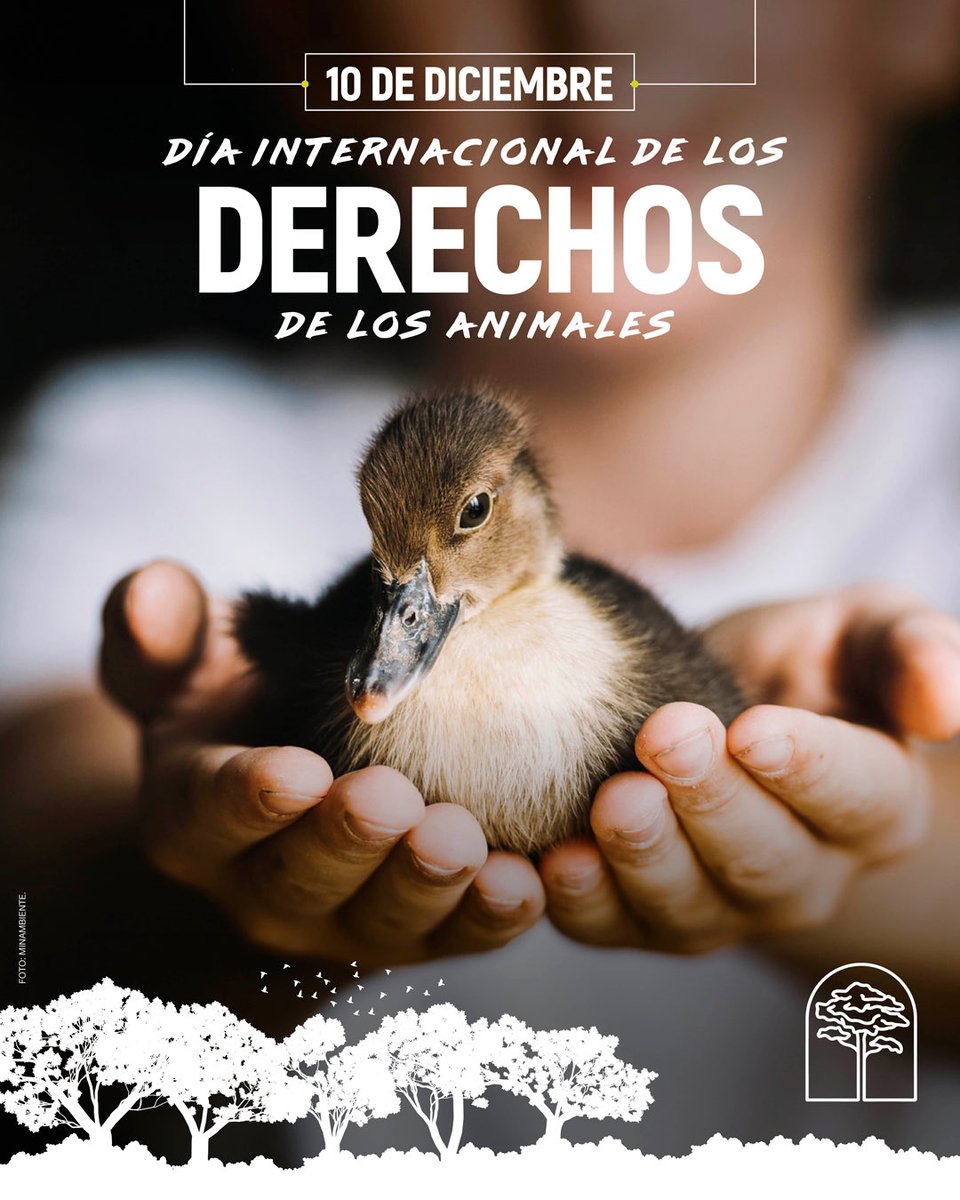 Cada 10 de diciembre el mundo reconoce que los animales no son recursos, sino seres vivos que sienten. Desde IRI-Colombia nos unimos para promover su protección y luchar contra el maltrato y la explotación.
¡Hagamos que su voz se escuche!
Nuestro país es hogar de especies únicas