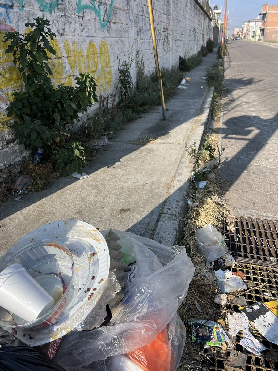 fabismq's tweet photo. @SPCH_S_Publicos @GobiernoCholula @CholulaReporta @laredcincoradio podrían limpiar calle 18 oriente entre 2 nte y 5 de mayo en Santiago mixquitla por favor https://t.co/VLtdryLKX6
