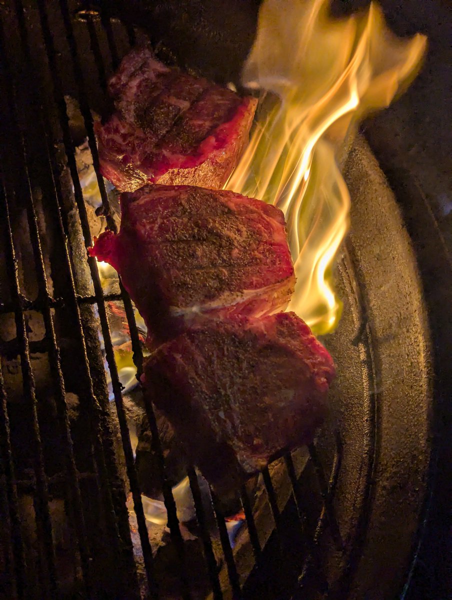 Re₿el in Texas tweet media