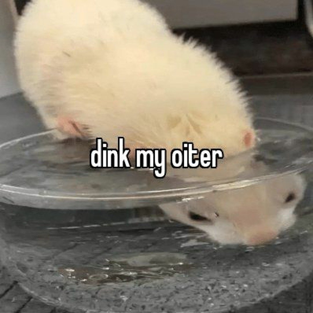 SoapyApparently's tweet image. Is that SOPHIE and RACHEL on a WEDNESDAY unscheduled???? Watch your favorite mess of a streamer and less-of-a-mess sister engage in various goofs and gaffs. It'll be siiiiiiiick

twitch.tv/sophieapparent…