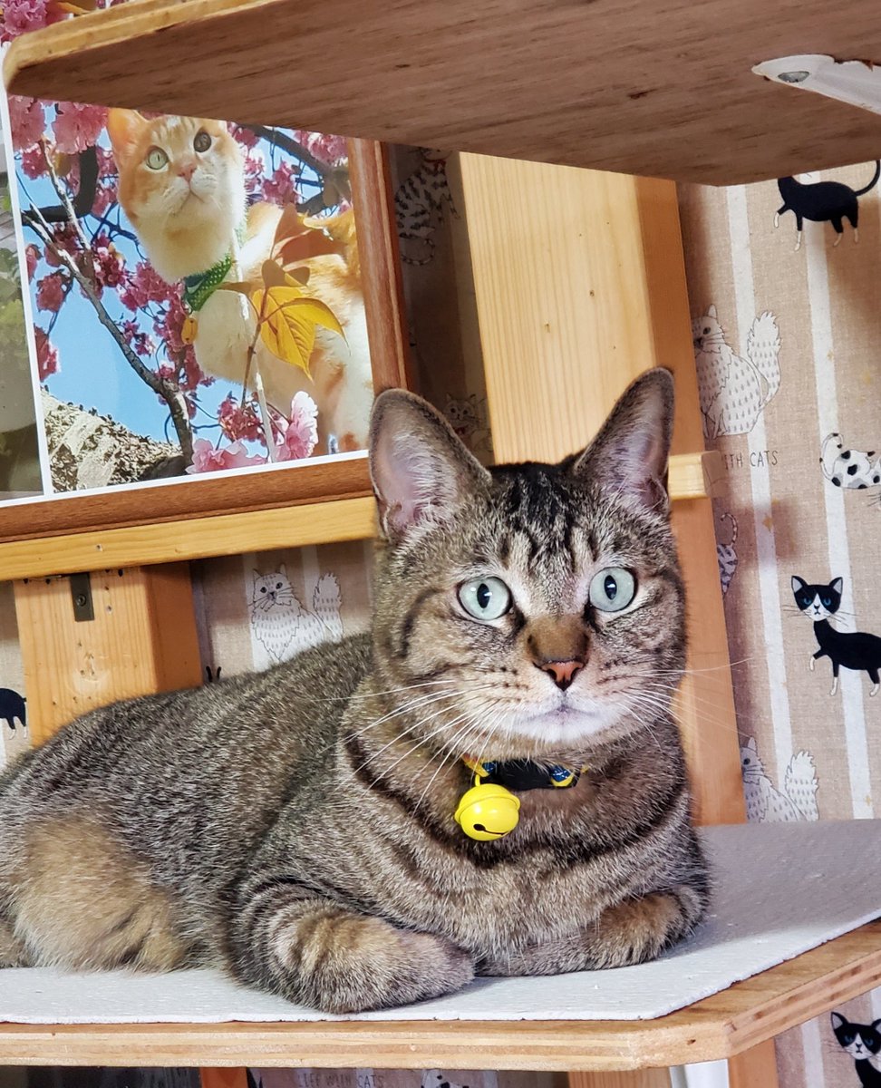 パリピア😻✨ (@NW6hX5NzGOqMVAw) / Posts / X