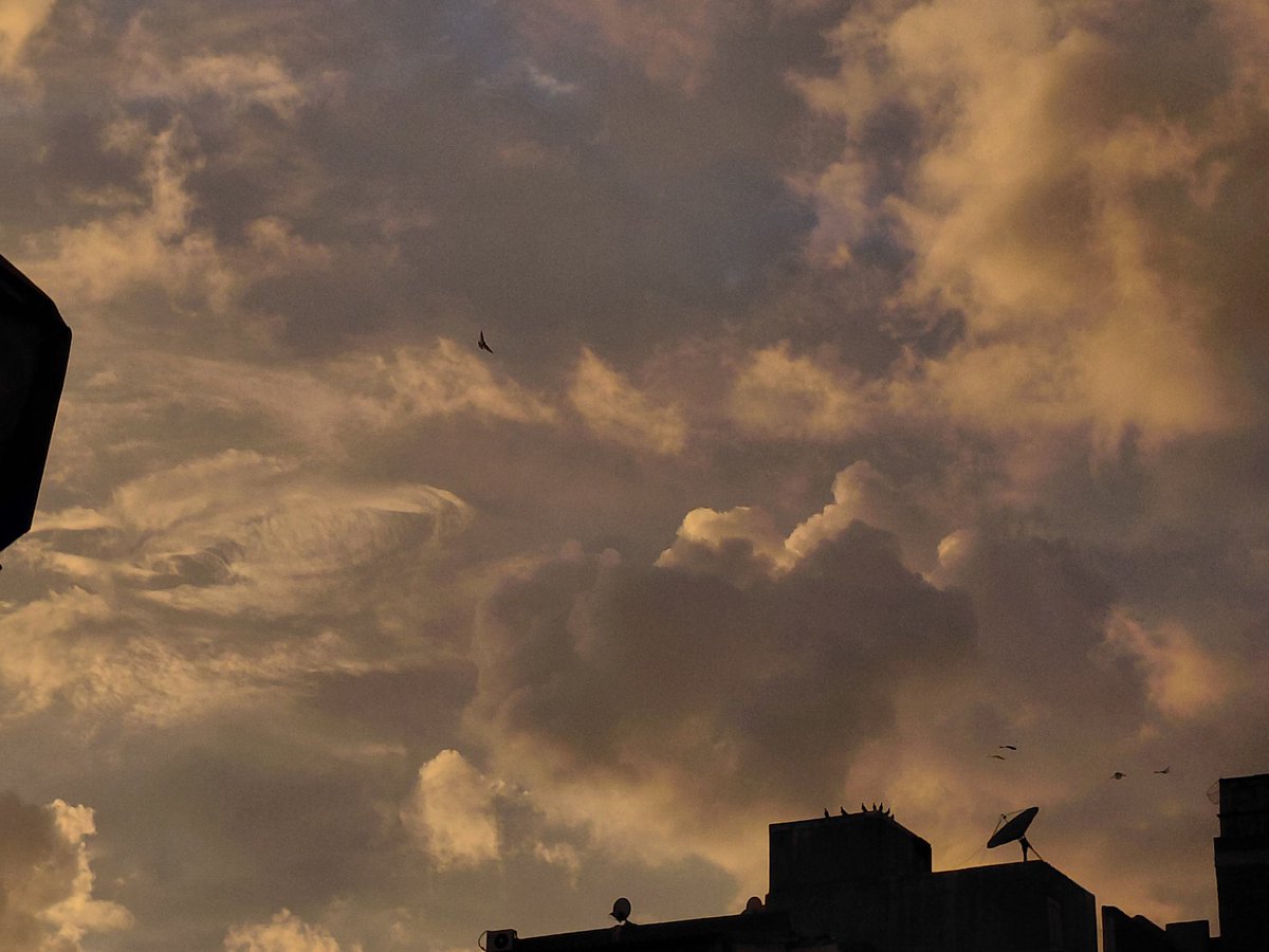 leloo40's tweet image. الغروب و احتساء الهوتشوقليط